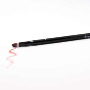 Lip Brush